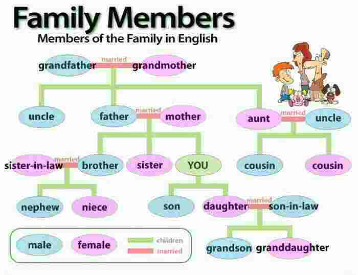 Family Meaning and Definition