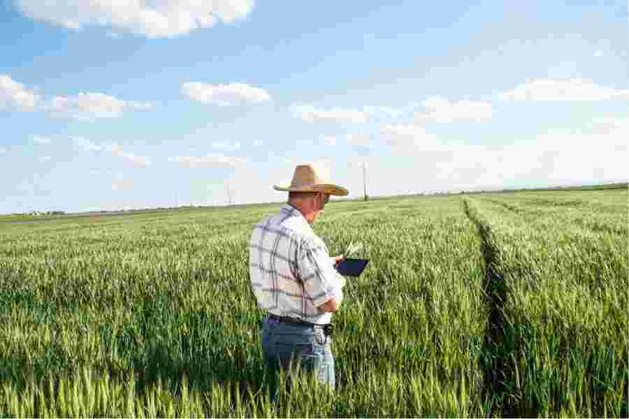 Farming Meaning and Definition