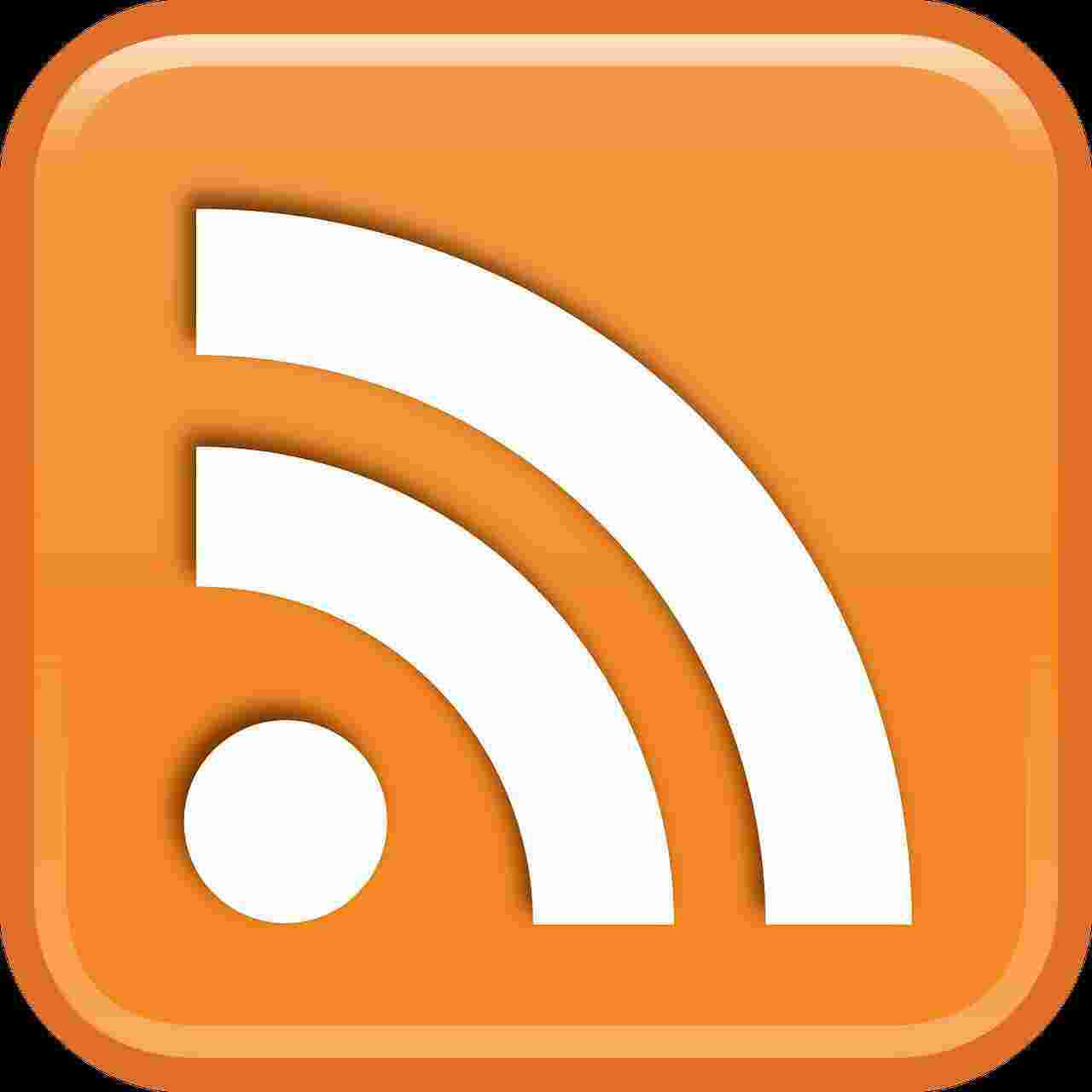 Feed Meaning and Definition