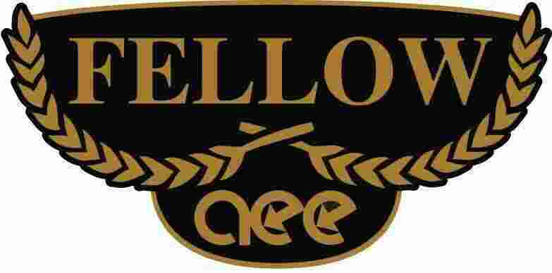 Fellow Meaning and Definition