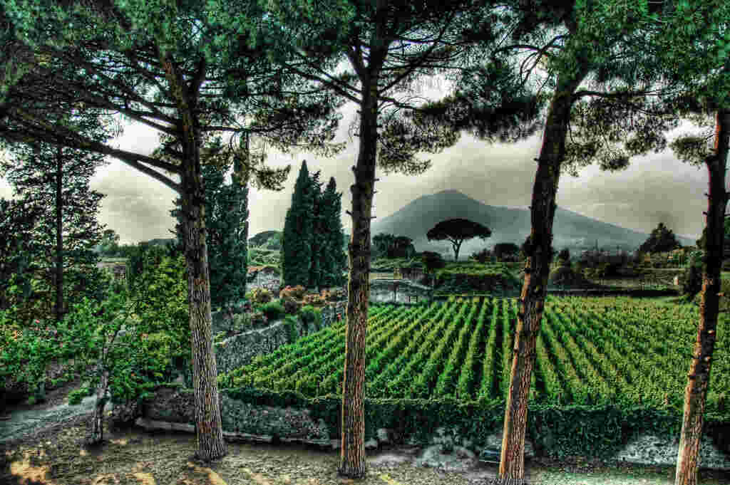 Fertile Meaning and Definition