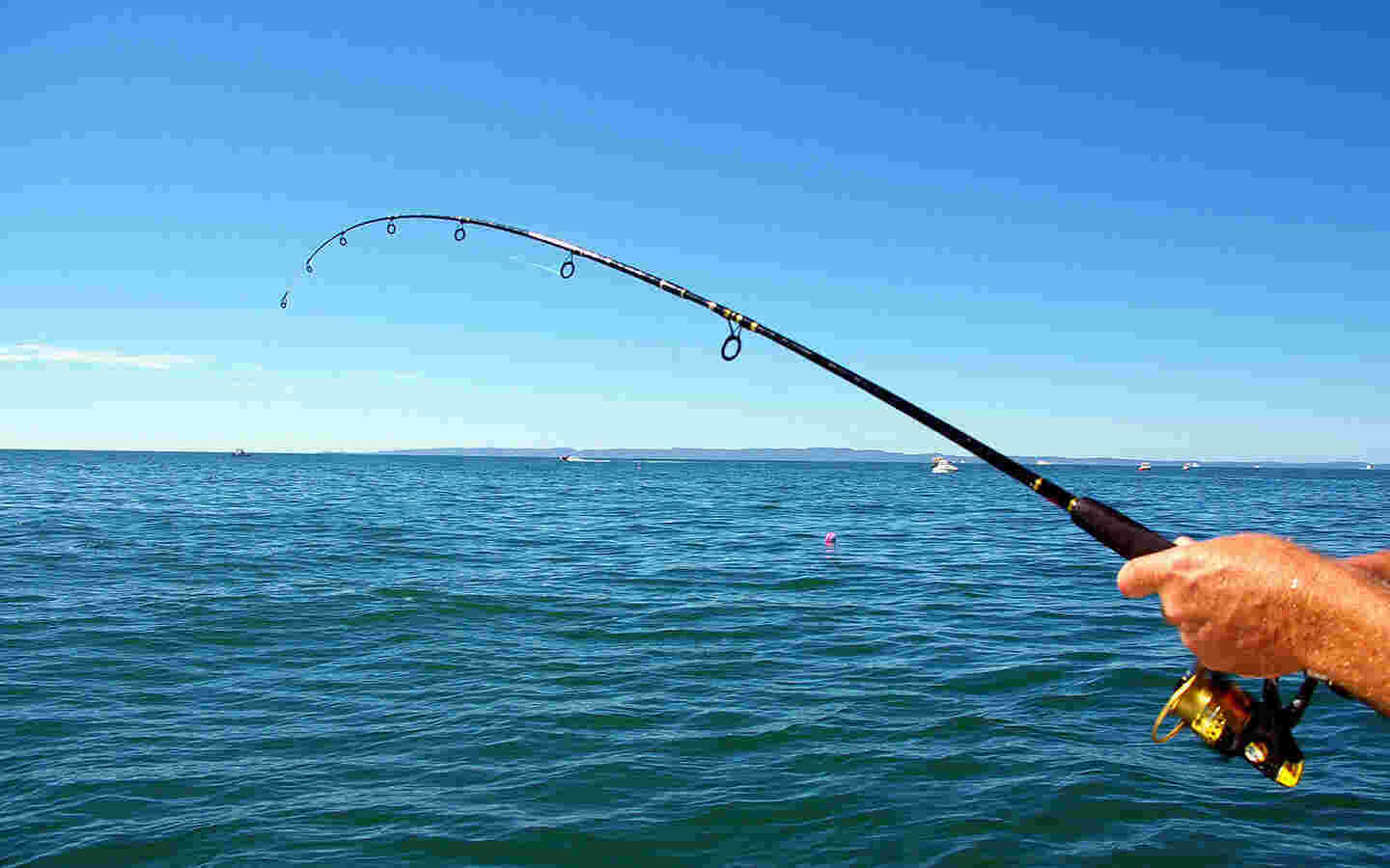 Fishing Meaning and Definition