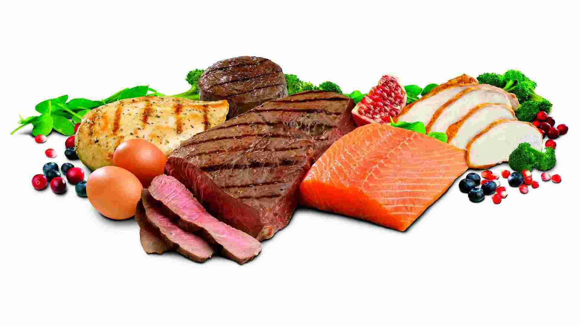 Foods Meaning and Definition