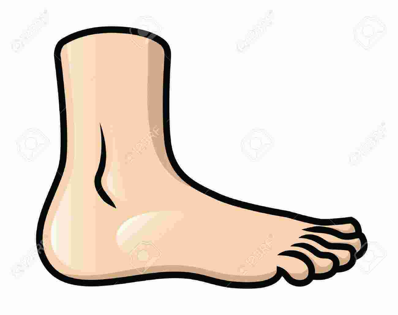 Foot Meaning and Definition