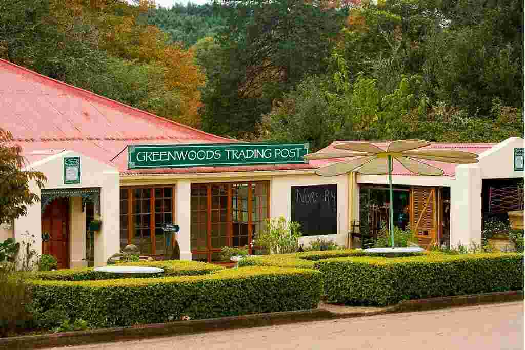 Greenwood Meaning and Definition