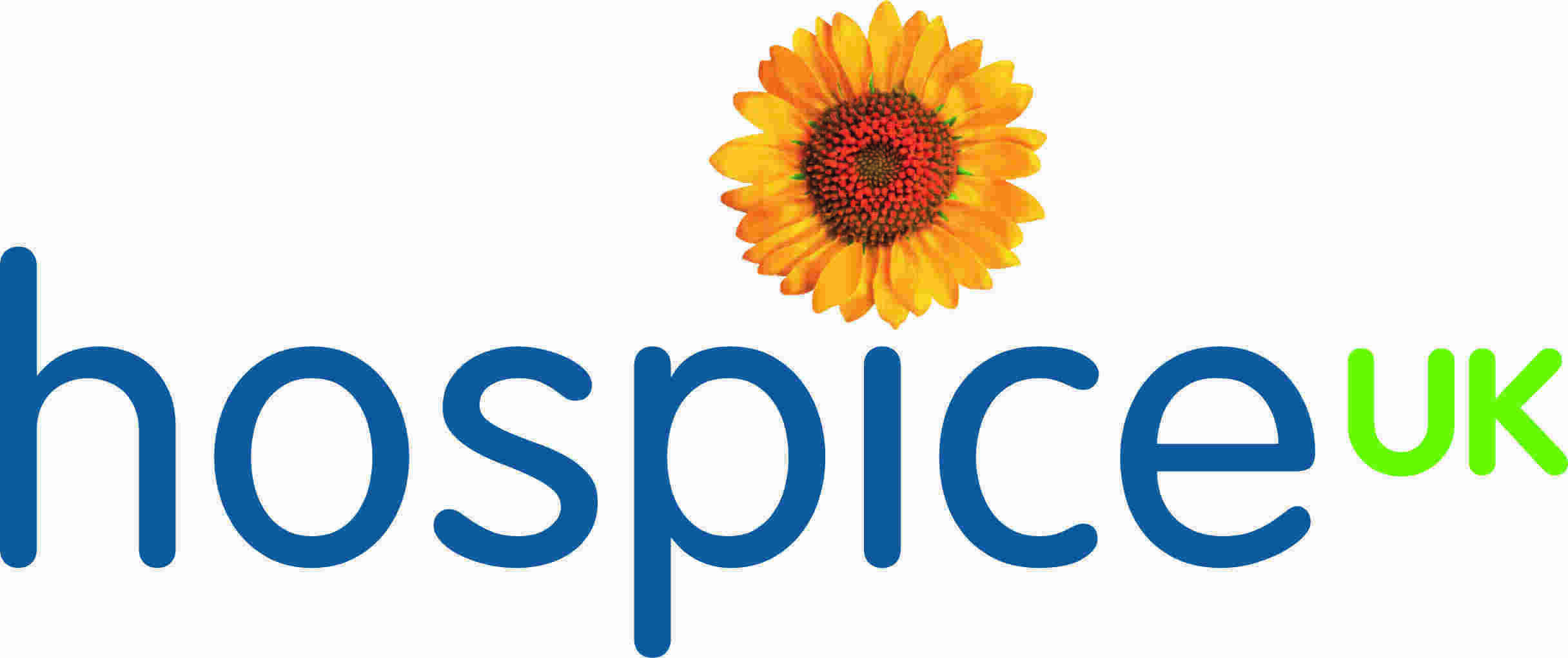 Hospice Meaning and Definition