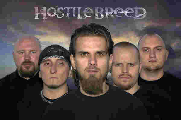 Hostile Meaning and Definition