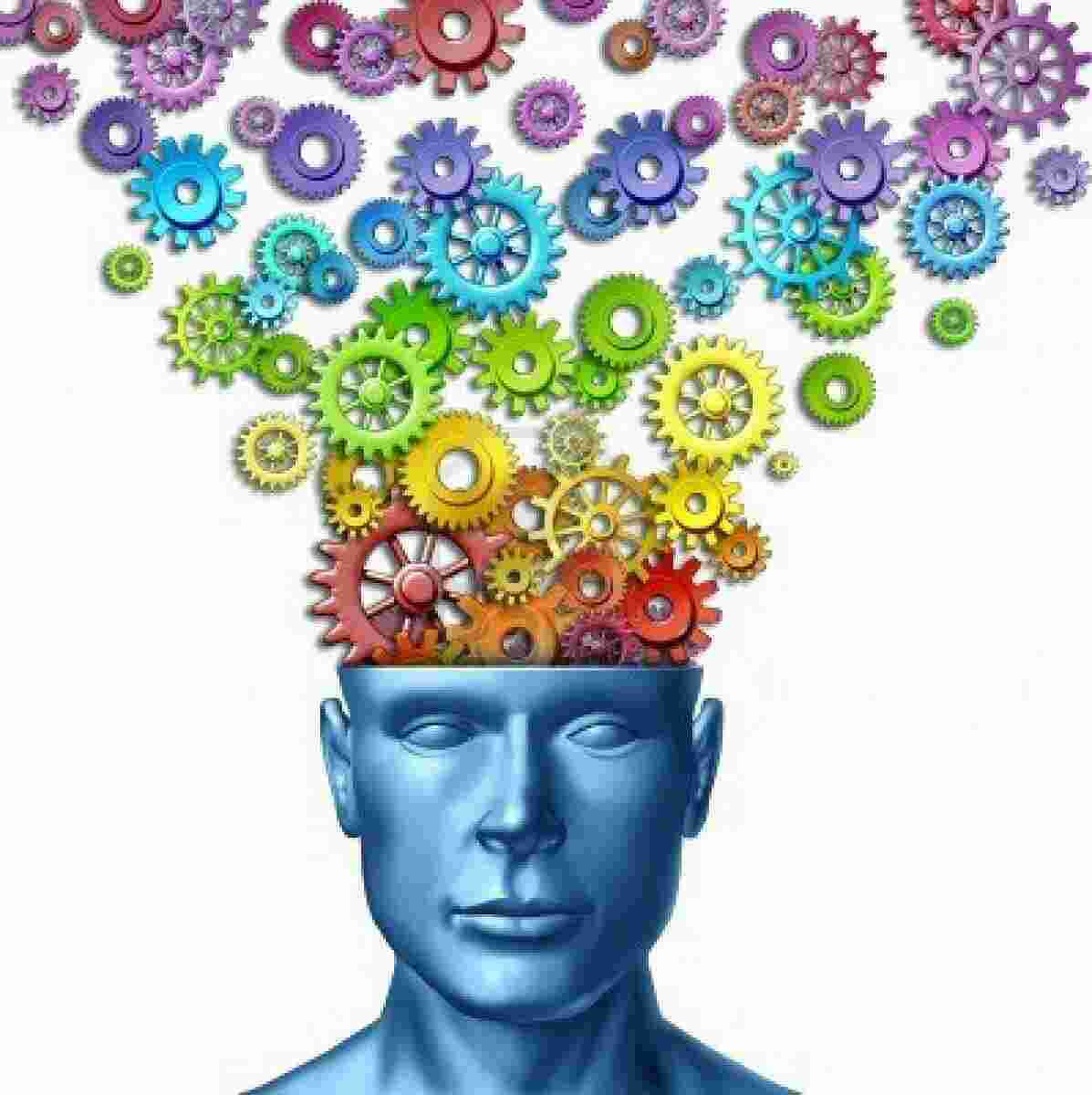 Intelligent Meaning and Definition