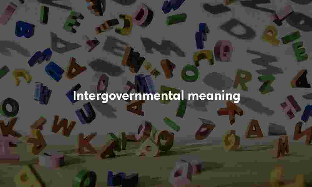 Intergovernmental meaning