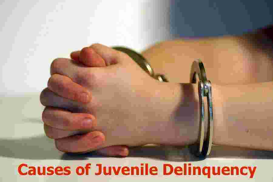 Juvenile Meaning and Definition