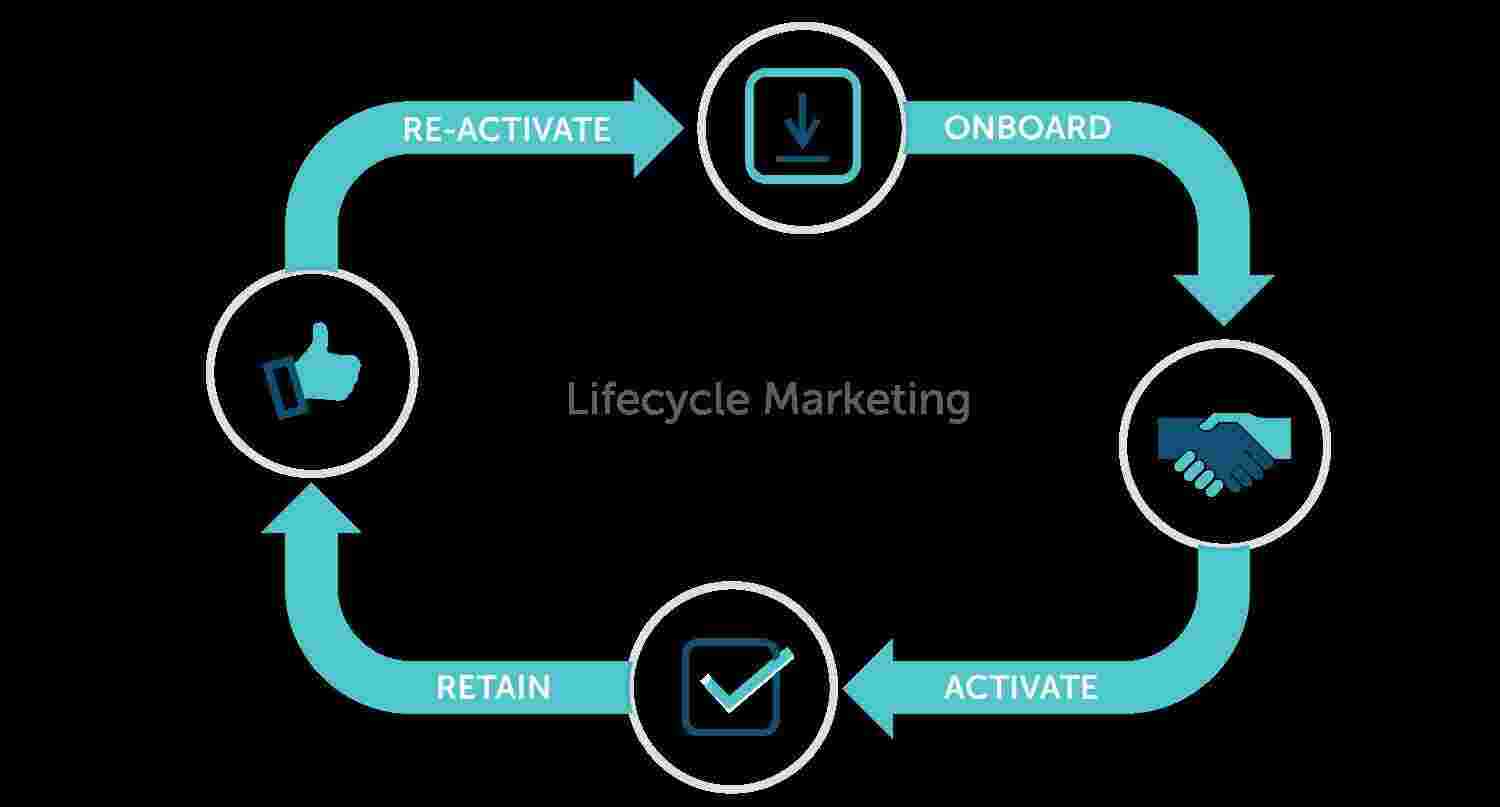 Lifecycle Meaning and Definition