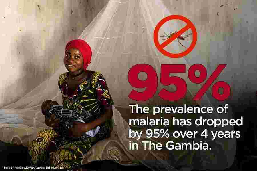 Malaria Meaning and Definition