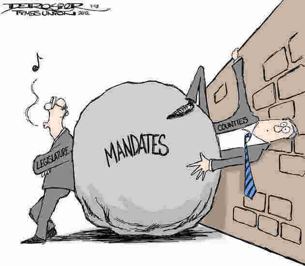 Mandates Meaning and Definition