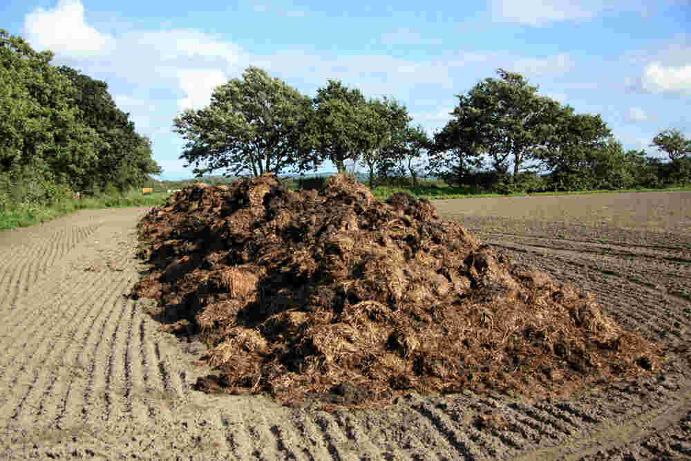 Manure Meaning and Definition
