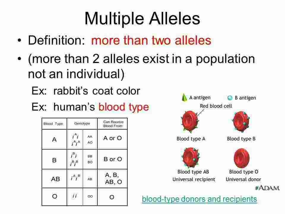Multiple Meaning and Definition