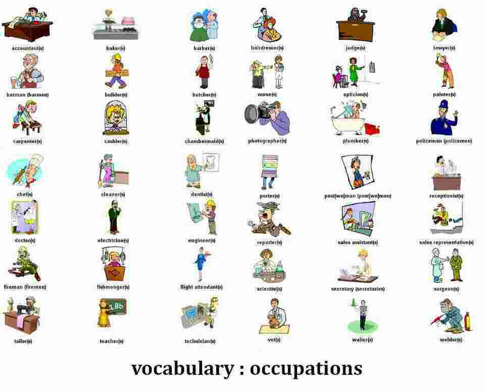 Occupation Meaning and Definition