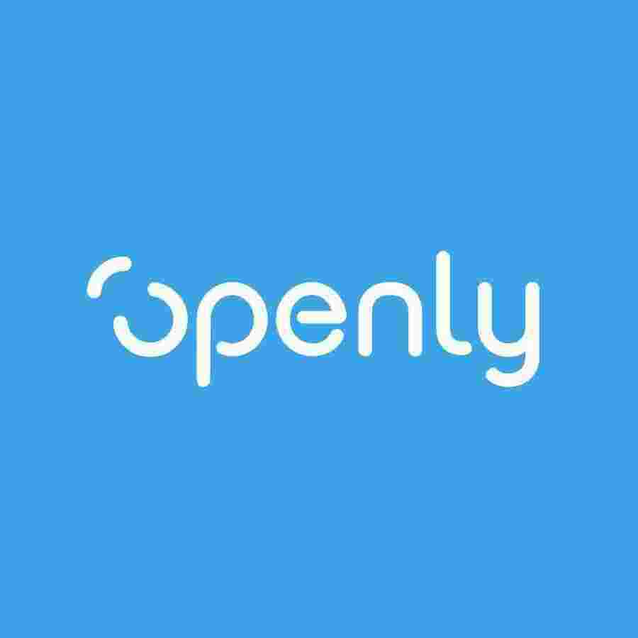 Openly Meaning and Definition