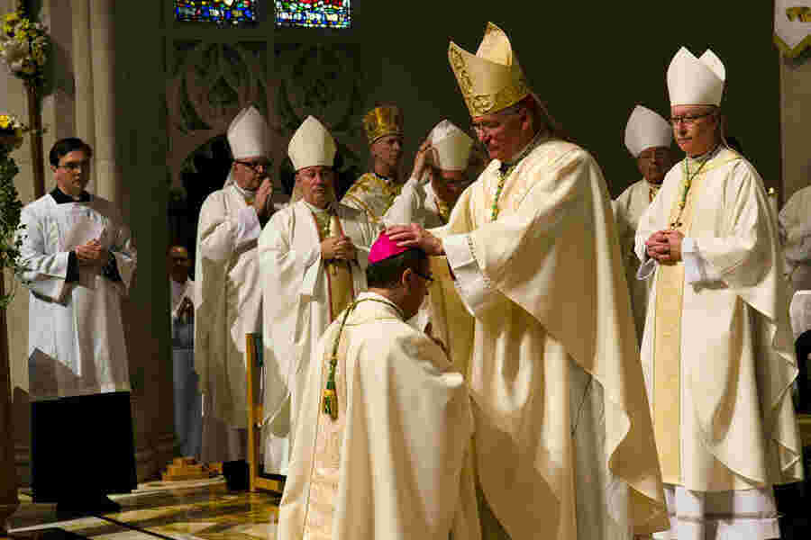 Ordination Meaning and Definition