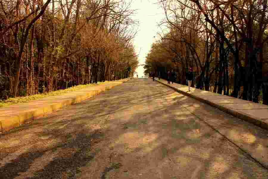 Parkway Meaning and Definition