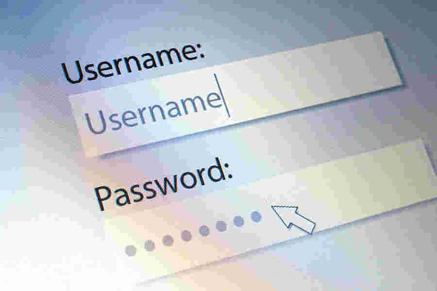 Password Meaning and Definition