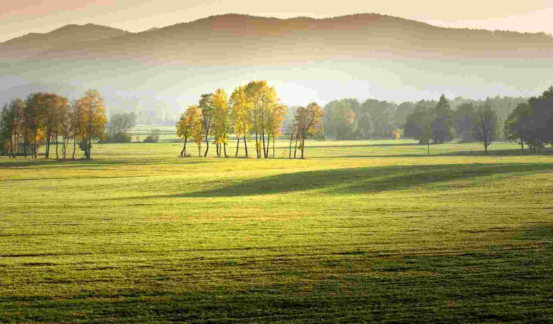 Pastoral Meaning and Definition