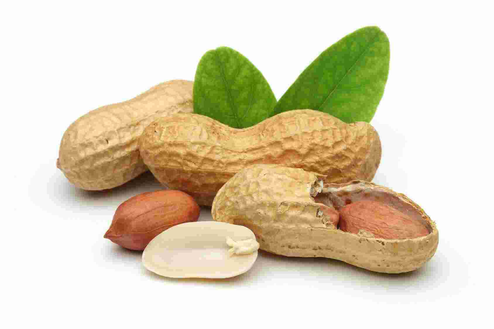 Peanut Meaning and Definition