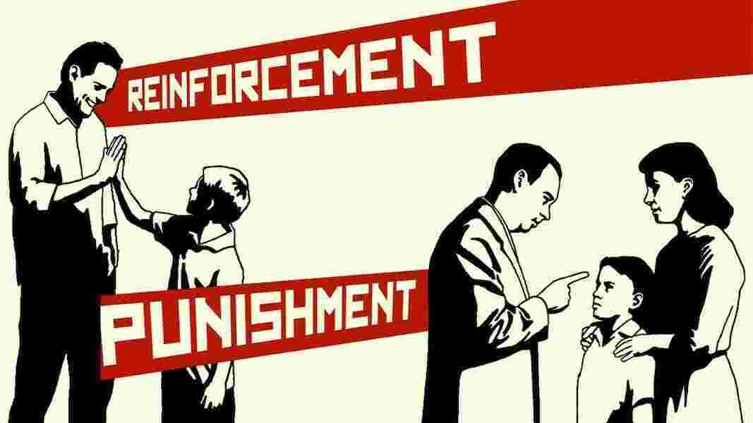 Reinforcement Meaning and Definition