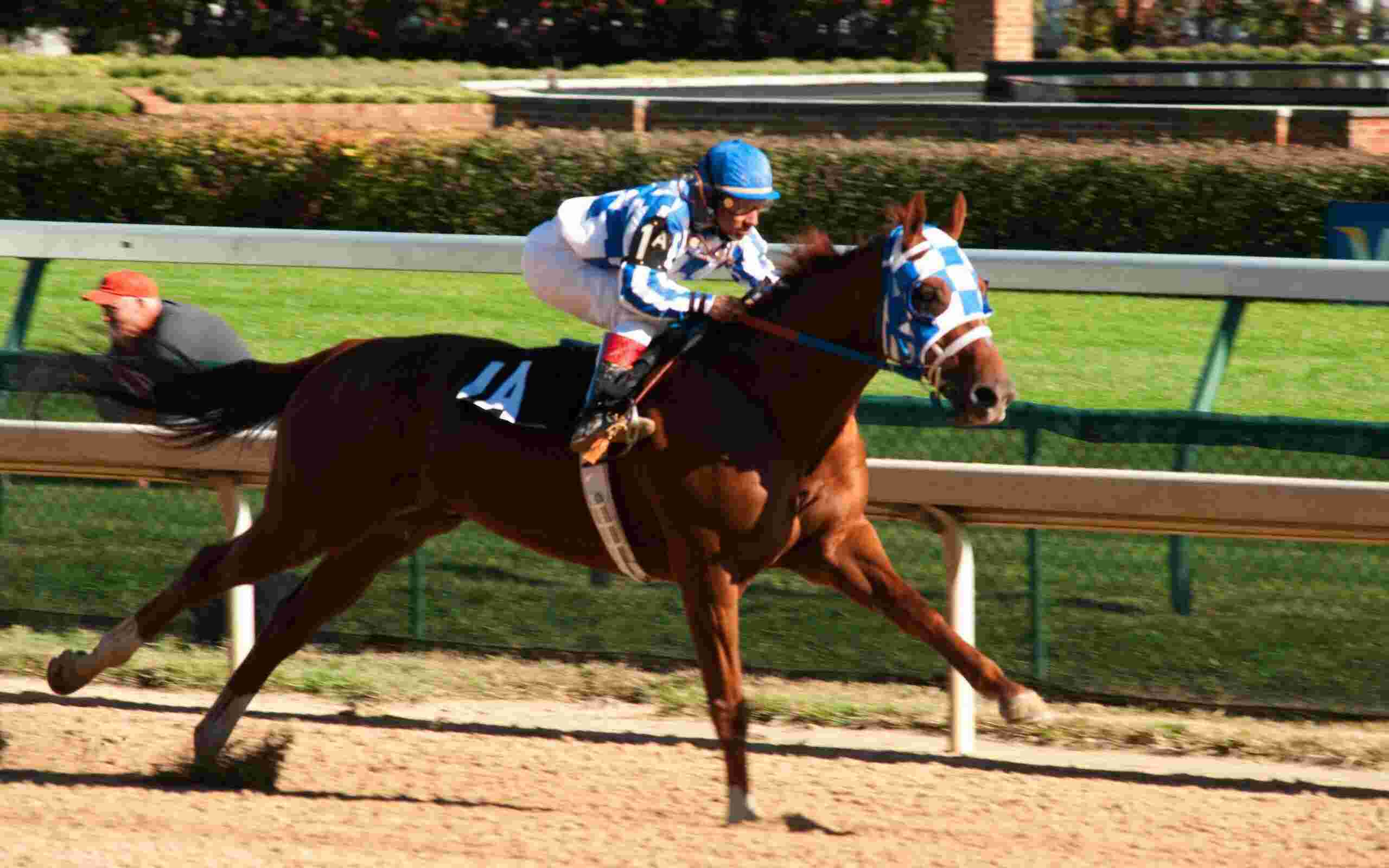 Secretariat Meaning and Definition