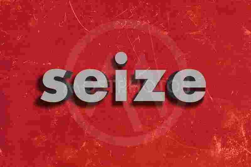 Seize Meaning and Definition