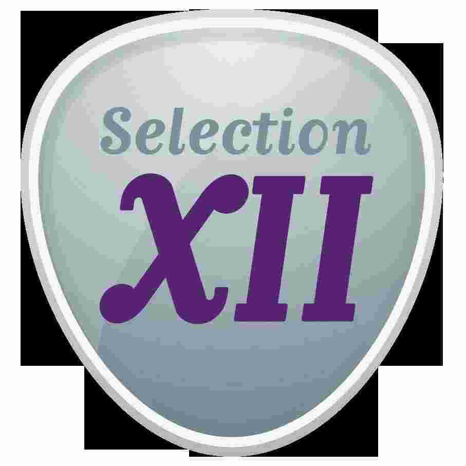 Selection Meaning and Definition