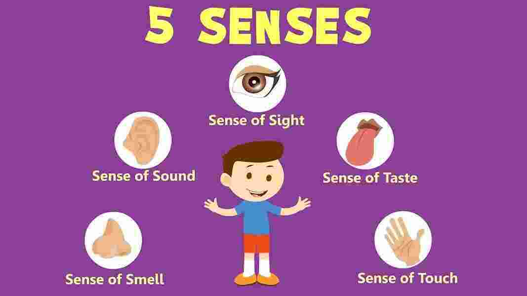 Sense Meaning and Definition