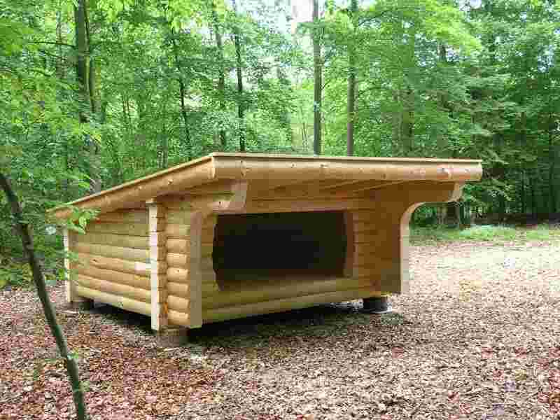 Shelter Meaning and Definition