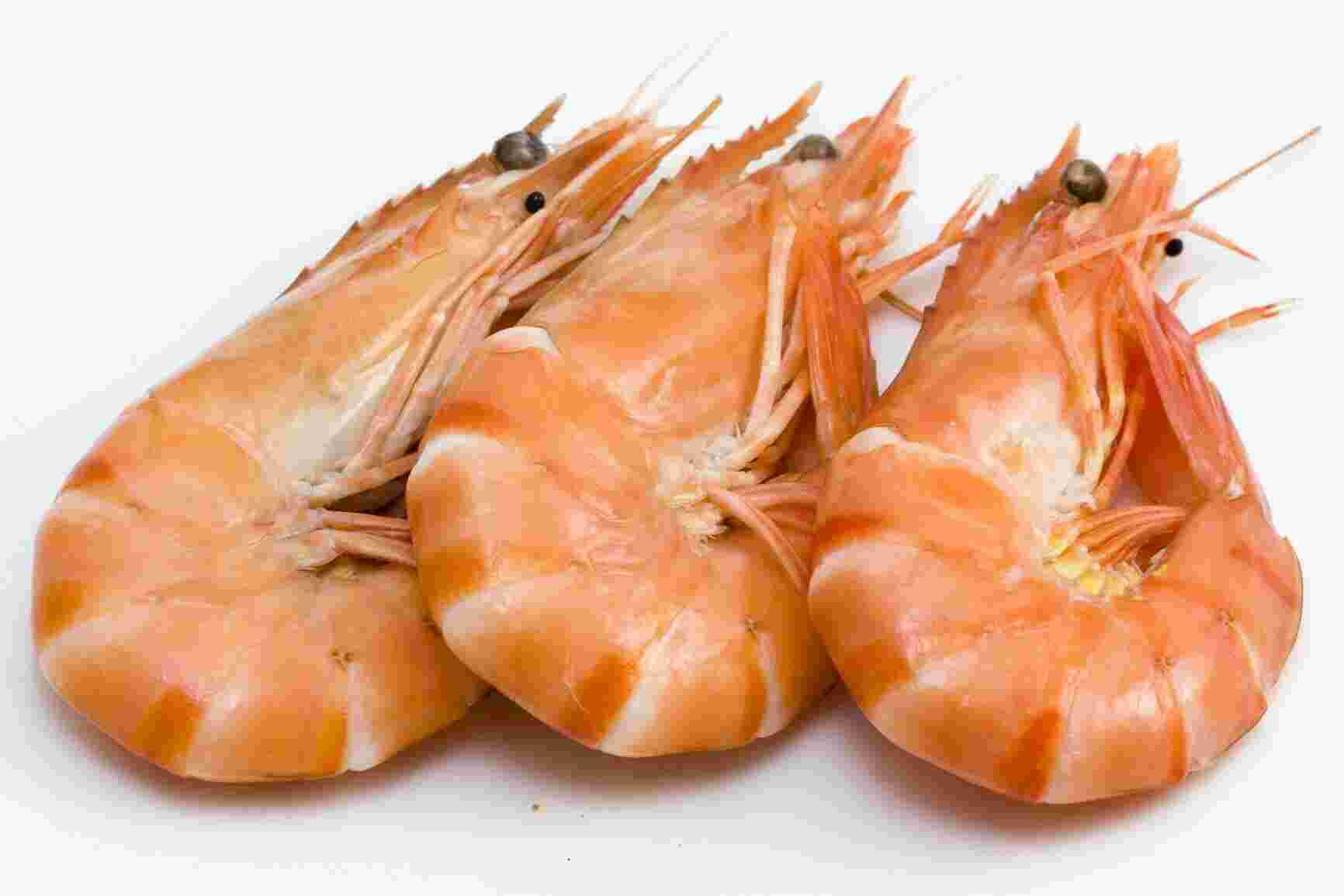 Shrimp Meaning and Definition