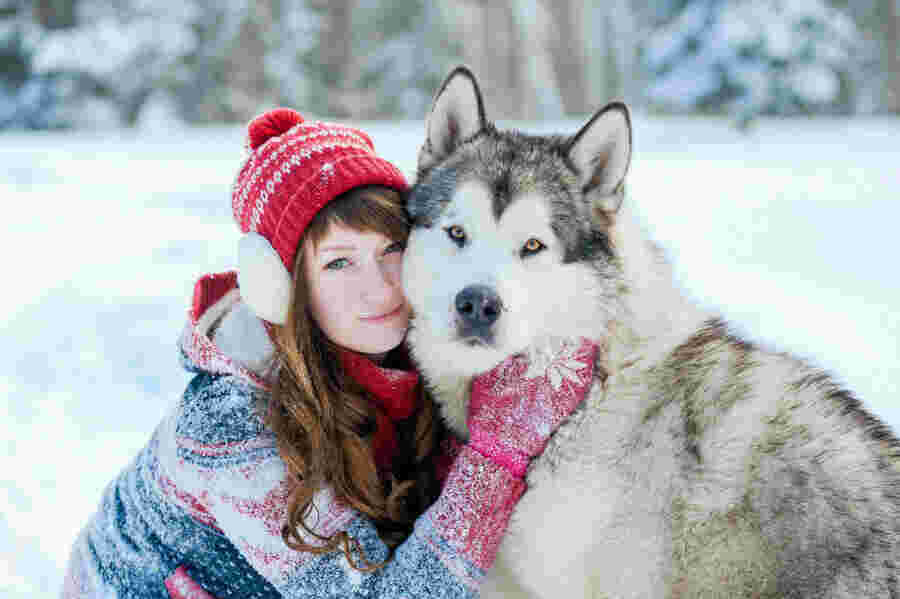Siberian Meaning and Definition