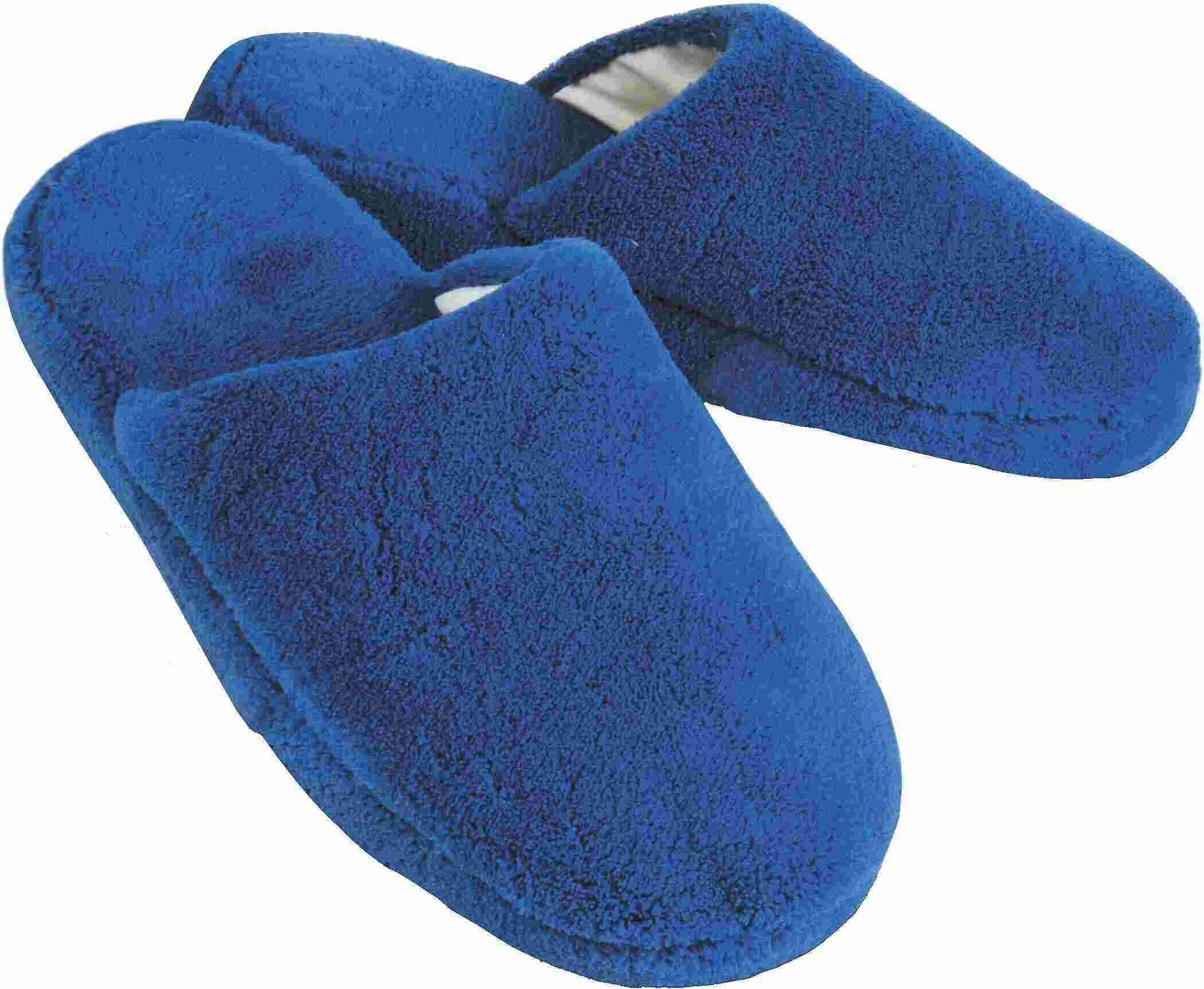 Slippers Meaning and Definition