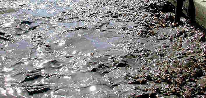 Sludge Meaning and Definition