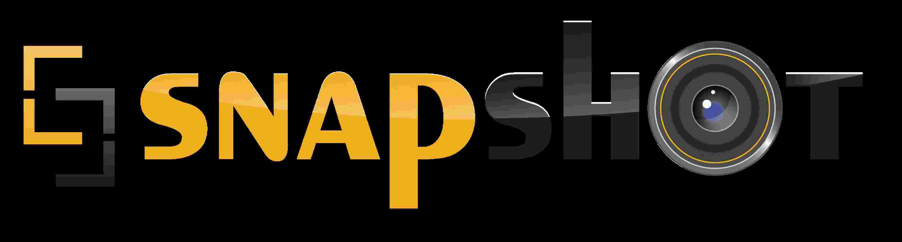 Snapshot Meaning and Definition