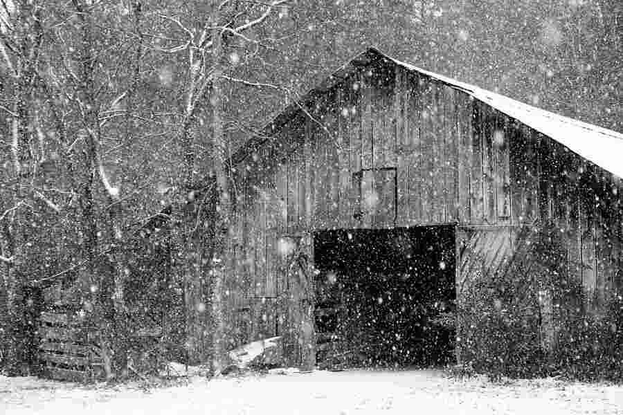 Snowy Meaning and Definition