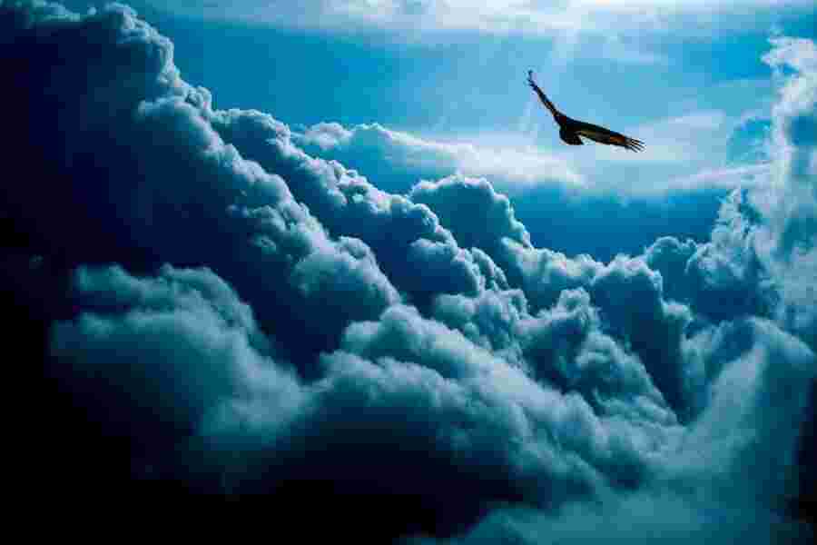 Soar Meaning and Definition