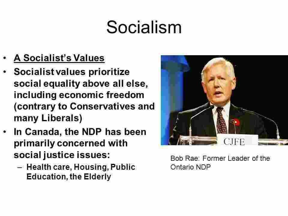 Socialism Meaning and Definition