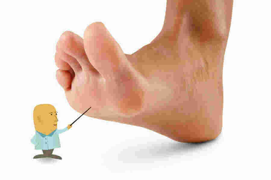 Sole Meaning and Definition