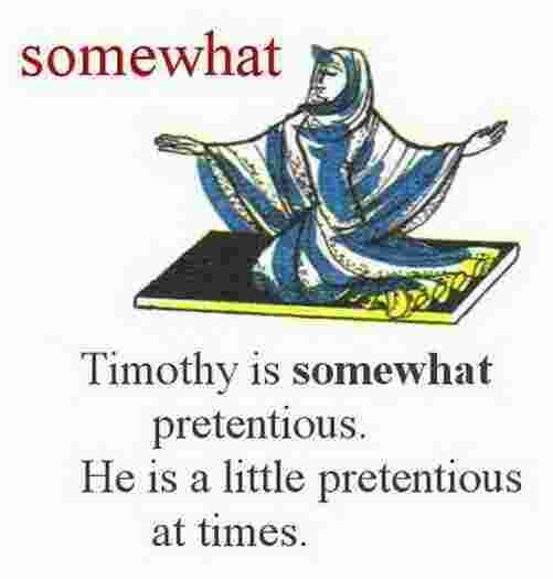 Somewhat Meaning and Definition