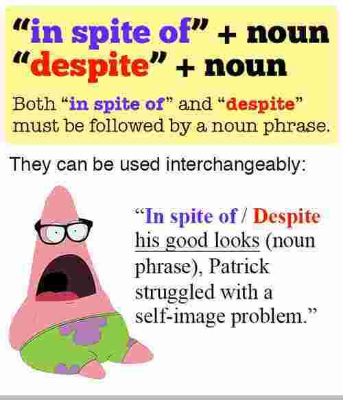 Spite Meaning and Definition