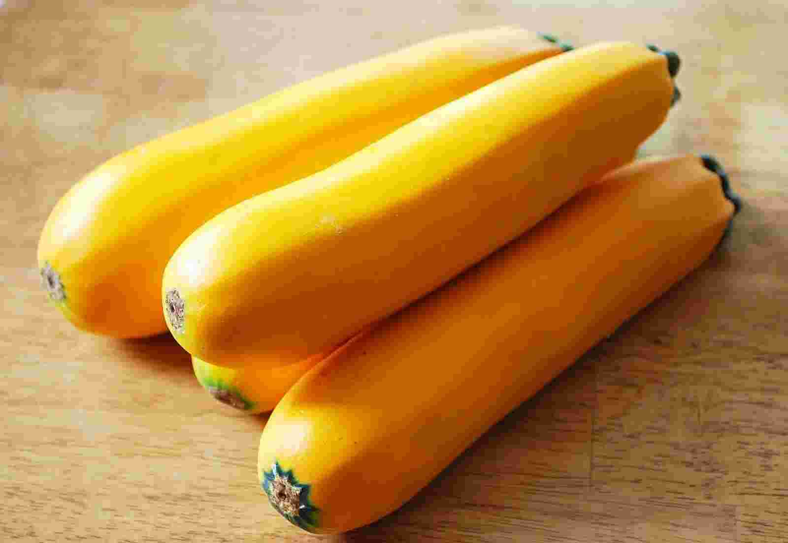 Squash Meaning and Definition