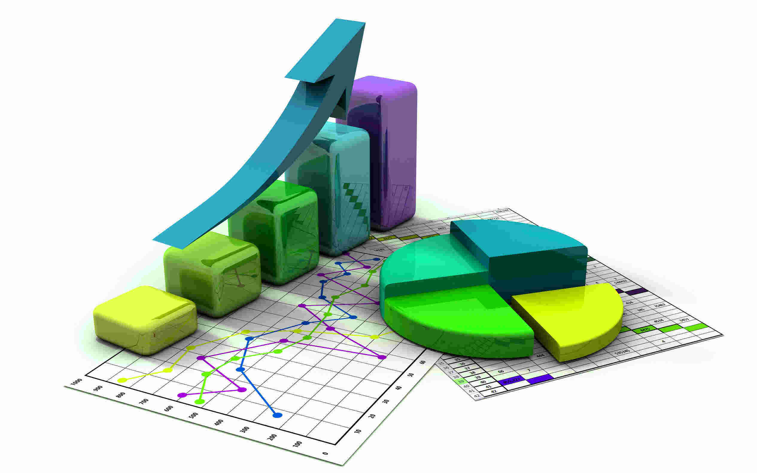 Statistic Meaning and Definition