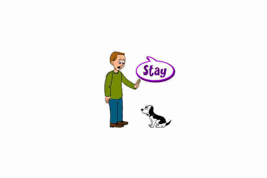 Stay Meaning and Definition