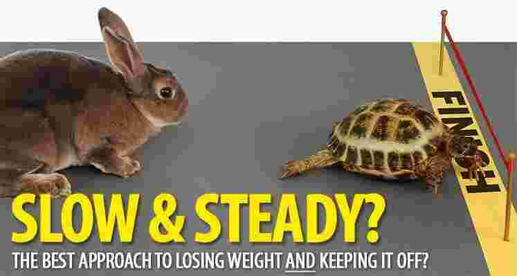 Steady Meaning and Definition