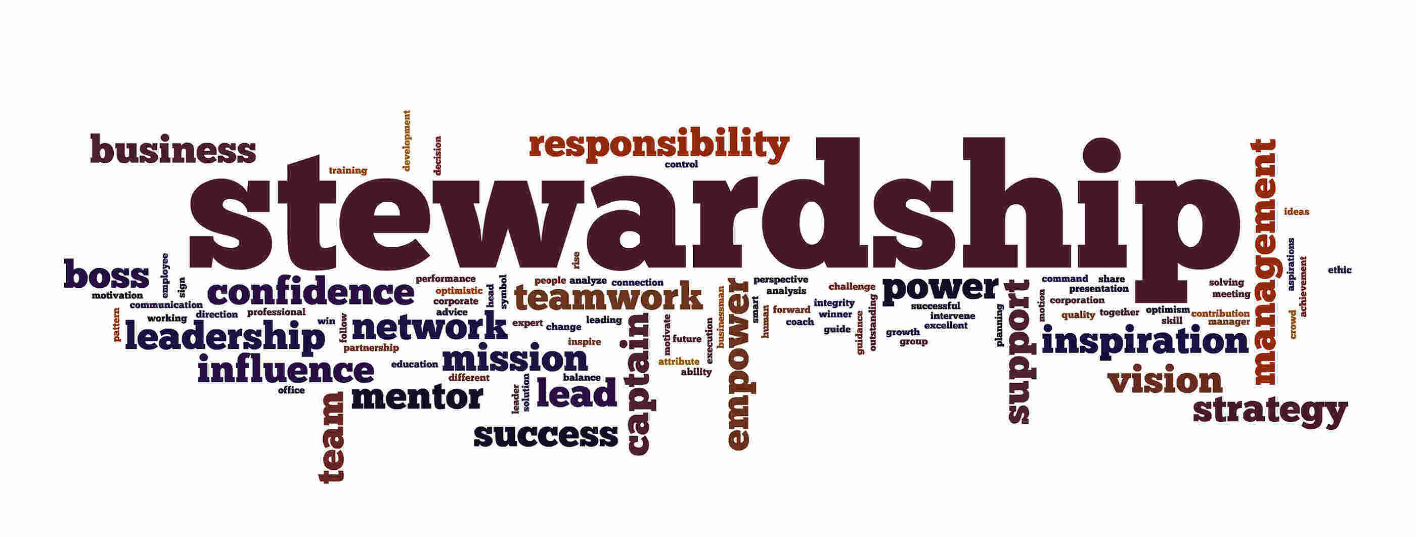 Stewardship Meaning and Definition
