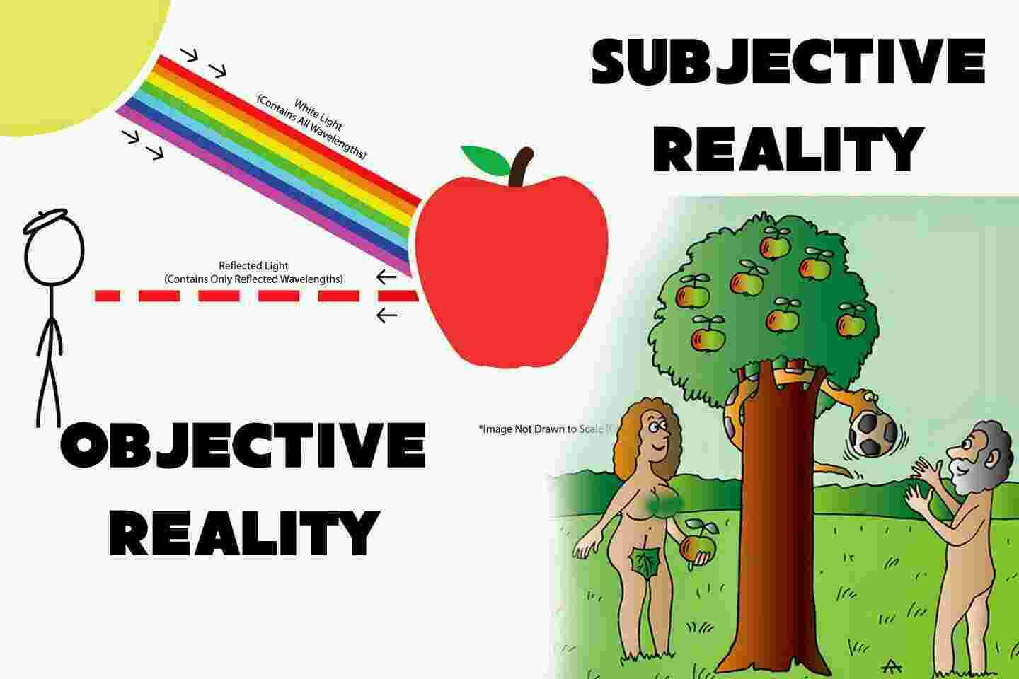 Subjective Meaning and Definition