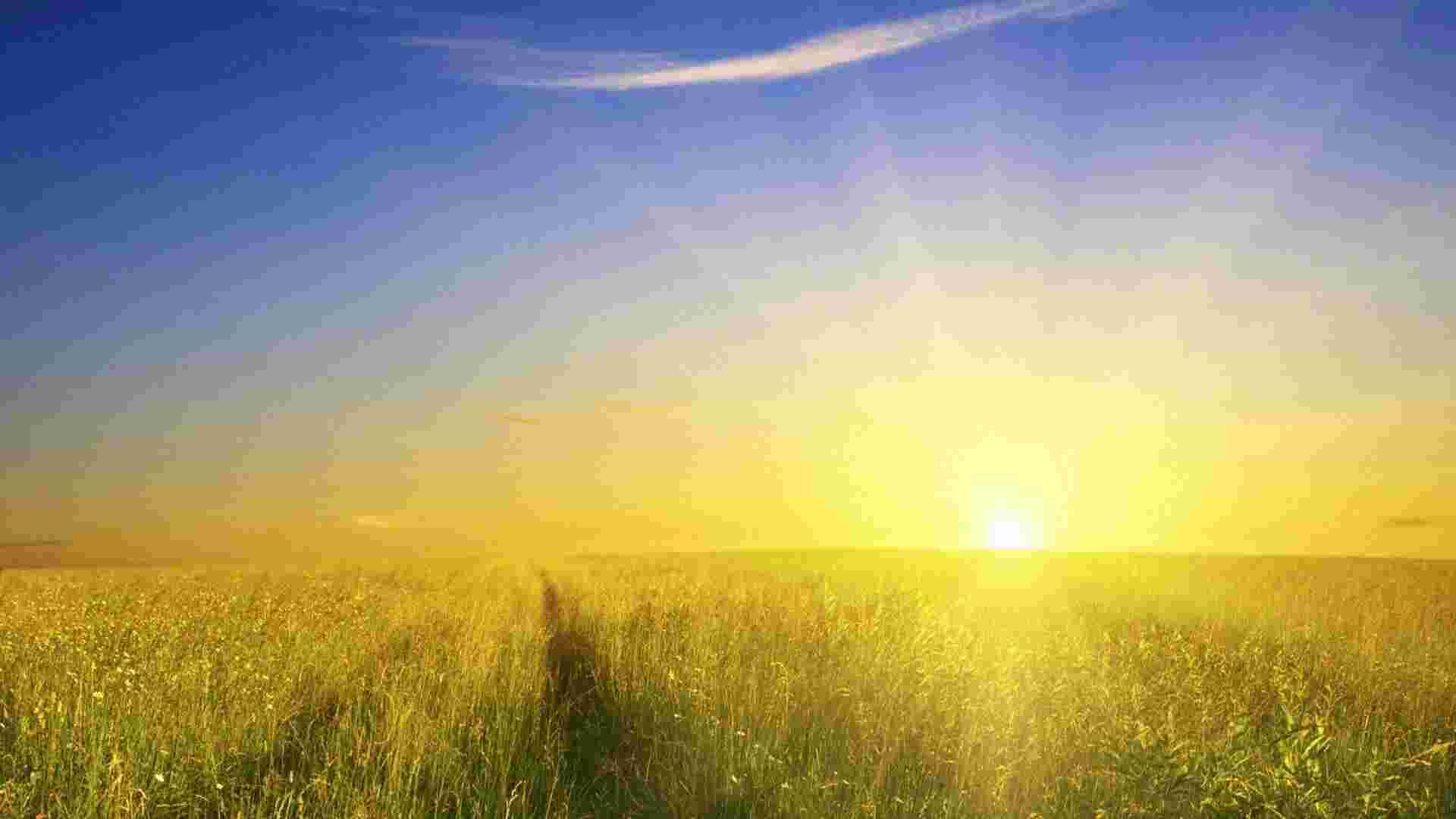 Sunshine Meaning and Definition